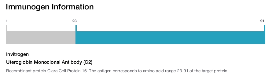 Uteroglobin Monoclonal Antibody (C2)