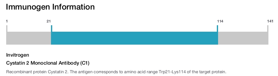 Cystatin 2 Monoclonal Antibody (C1)