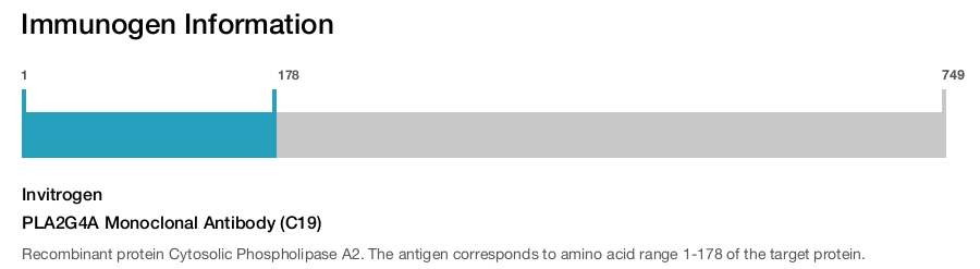 PLA2G4A Monoclonal Antibody (C19)