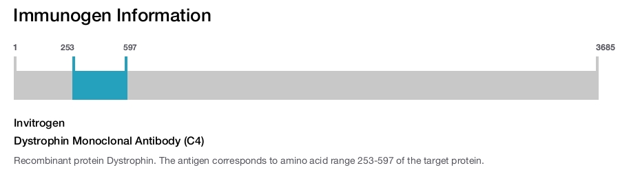 Dystrophin Monoclonal Antibody (C4)