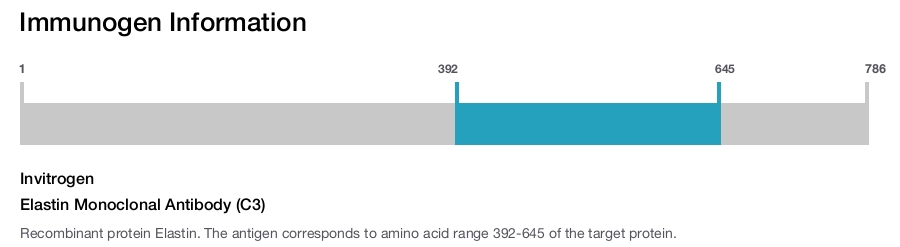 Elastin Monoclonal Antibody (C3)