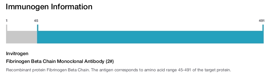Fibrinogen Beta Chain Monoclonal Antibody (2#)