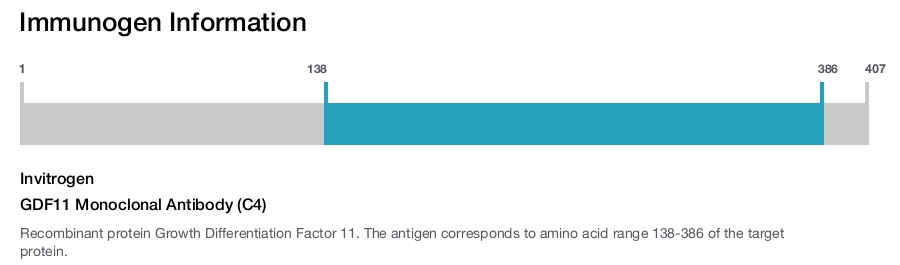 GDF11 Monoclonal Antibody (C4)