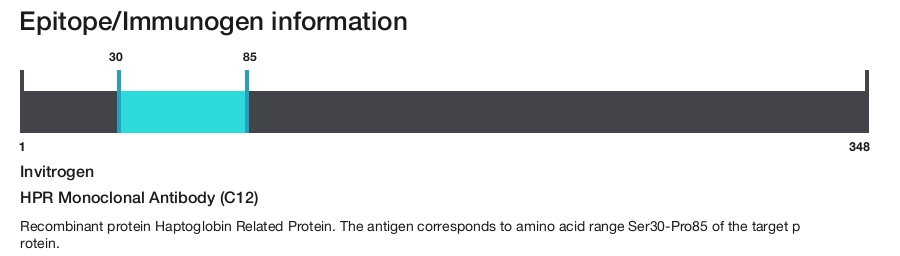 HPR Monoclonal Antibody (C12)