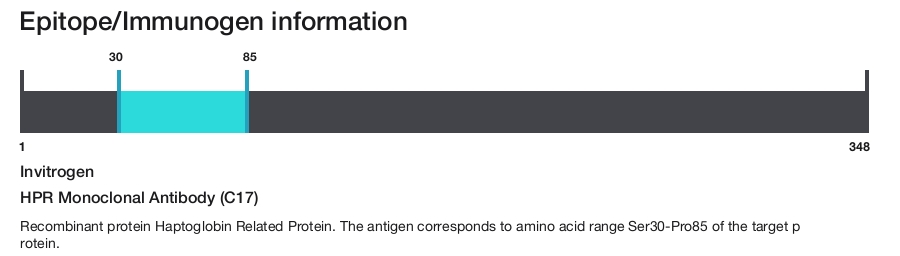 HPR Monoclonal Antibody (C17)