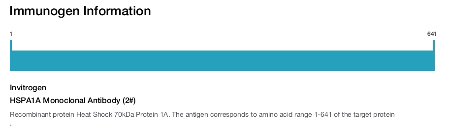 HSPA1A Monoclonal Antibody (2#)
