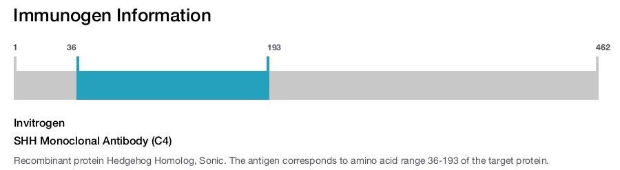 SHH Monoclonal Antibody (C4)