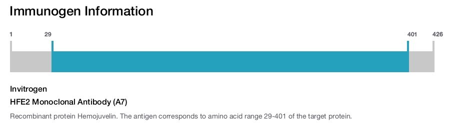 HFE2 Monoclonal Antibody (A7)