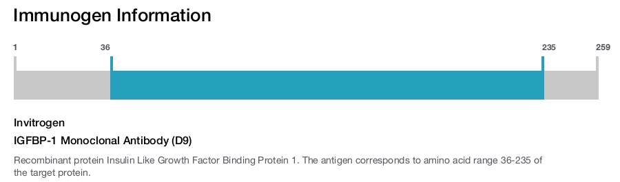 IGFBP-1 Monoclonal Antibody (D9)