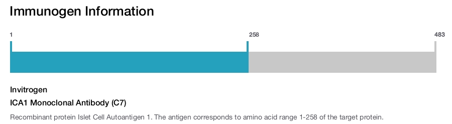 ICA1 Monoclonal Antibody (C7)
