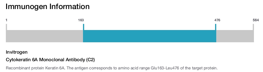 Cytokeratin 6A Monoclonal Antibody (C2)