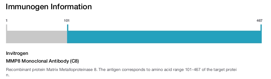 MMP8 Monoclonal Antibody (C8)