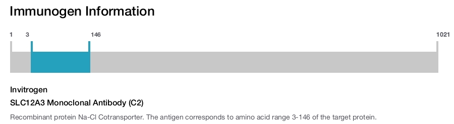 SLC12A3 Monoclonal Antibody (C2)