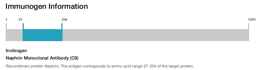 Nephrin Monoclonal Antibody (C8)