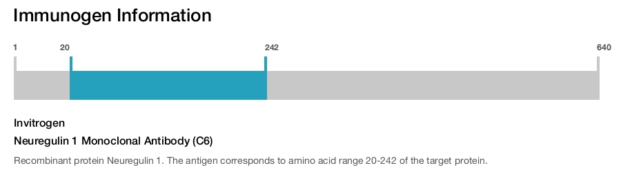 Neuregulin 1 Monoclonal Antibody (C6)