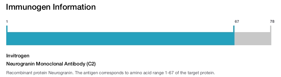 Neurogranin Monoclonal Antibody (C2)