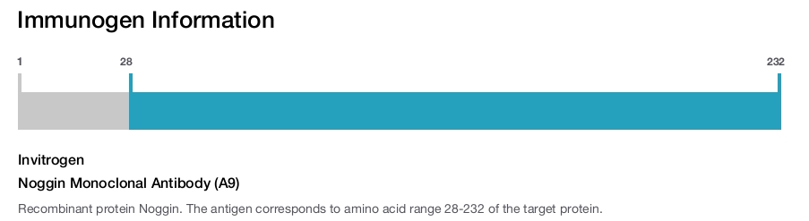 Noggin Monoclonal Antibody (A9)