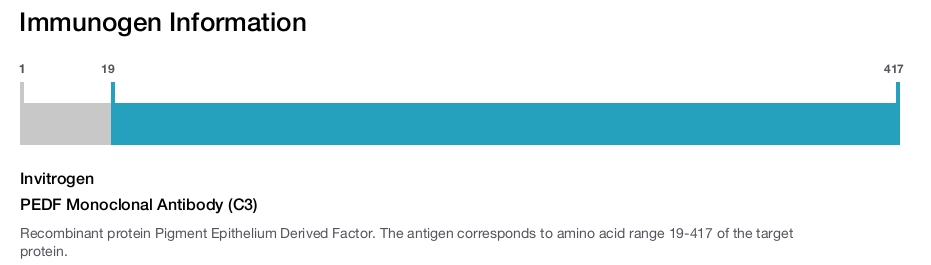 PEDF Monoclonal Antibody (C3)