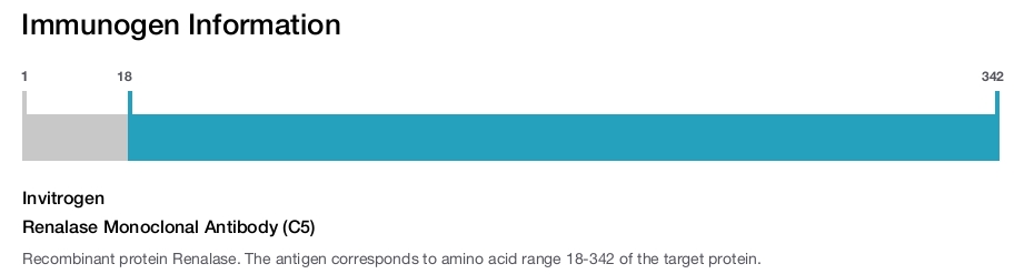 Renalase Monoclonal Antibody (C5)