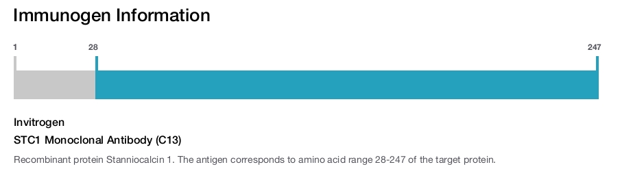 STC1 Monoclonal Antibody (C13)