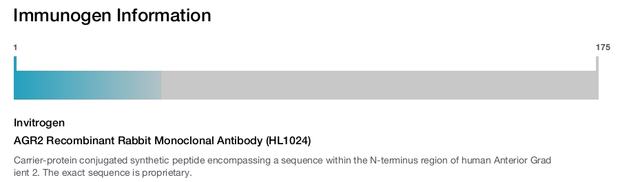 AGR2 Recombinant Rabbit Monoclonal Antibody (HL1024)