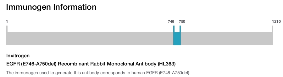 EGFR (E746-A750del) Recombinant Rabbit Monoclonal Antibody (HL363)