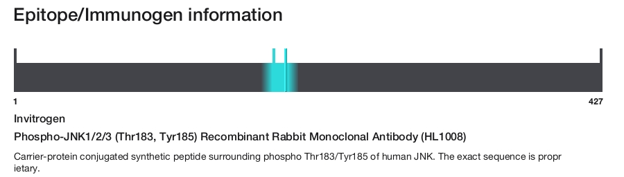 Phospho-JNK1/2/3 (Thr183, Tyr185) Recombinant Rabbit Monoclonal Antibody (HL1008)