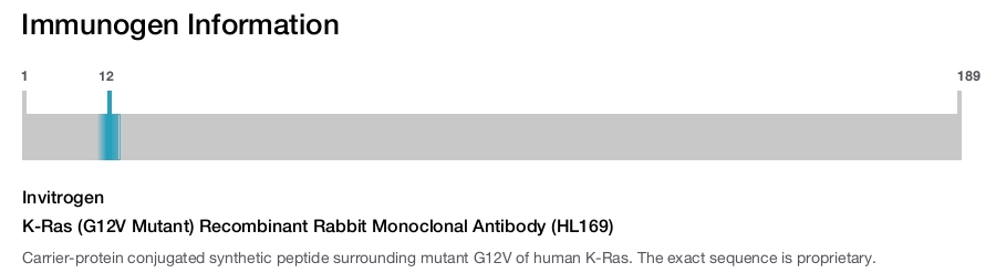 K-Ras (G12V Mutant) Recombinant Rabbit Monoclonal Antibody (HL169)