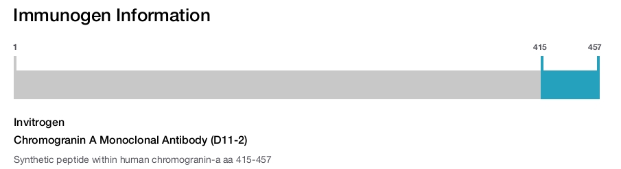 Chromogranin A Monoclonal Antibody (D11-2)