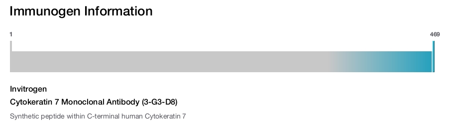 Cytokeratin 7 Monoclonal Antibody (3-G3-D8)
