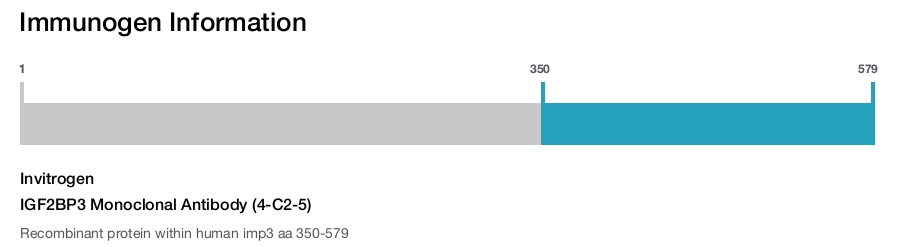 IGF2BP3 Monoclonal Antibody (4-C2-5)