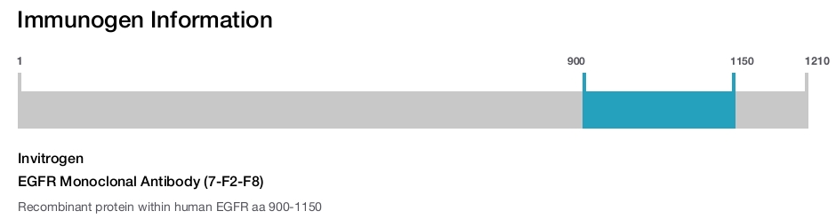 EGFR Monoclonal Antibody (7-F2-F8)
