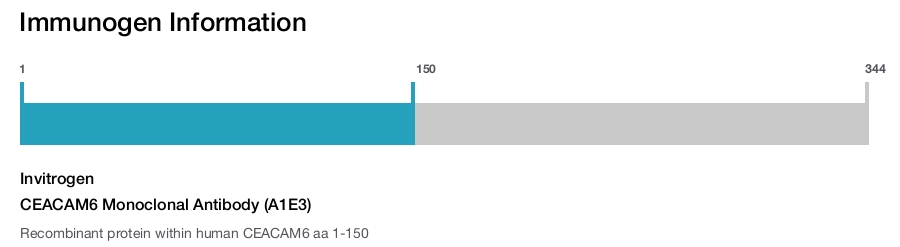 CEACAM6 Monoclonal Antibody (A1E3)