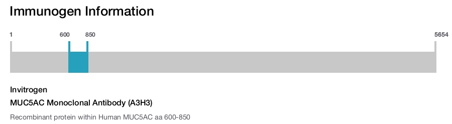 MUC5AC Monoclonal Antibody (A3H3)