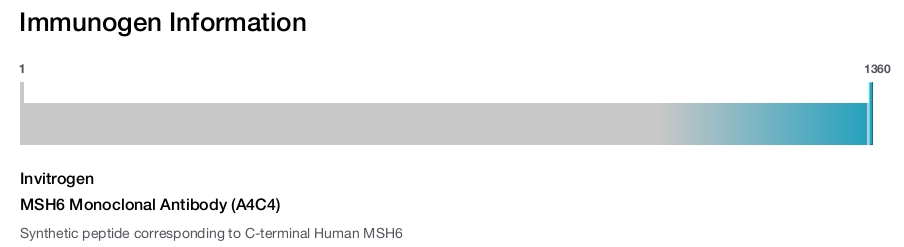 MSH6 Monoclonal Antibody (A4C4)