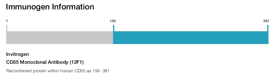 CD55 Monoclonal Antibody (12F1)