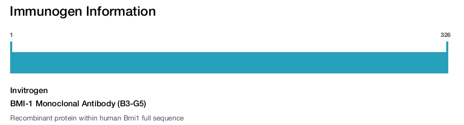 BMI-1 Monoclonal Antibody (B3-G5)