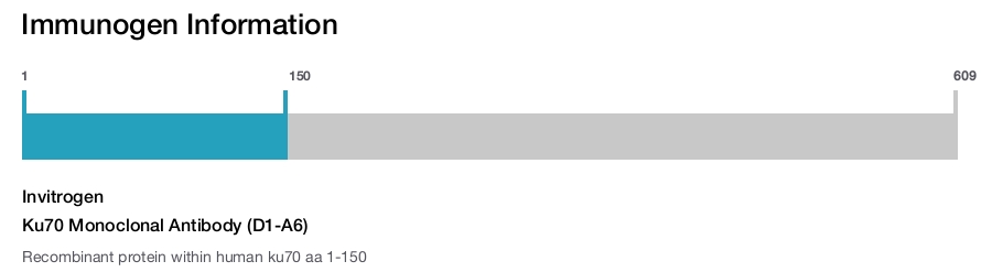 Ku70 Monoclonal Antibody (D1-A6)