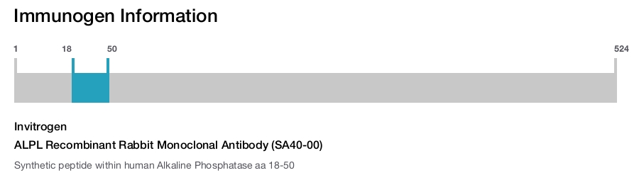 ALPL Recombinant Rabbit Monoclonal Antibody (SA40-00)