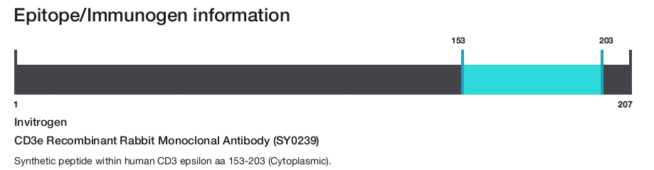 CD3e Recombinant Rabbit Monoclonal Antibody (SY0239)
