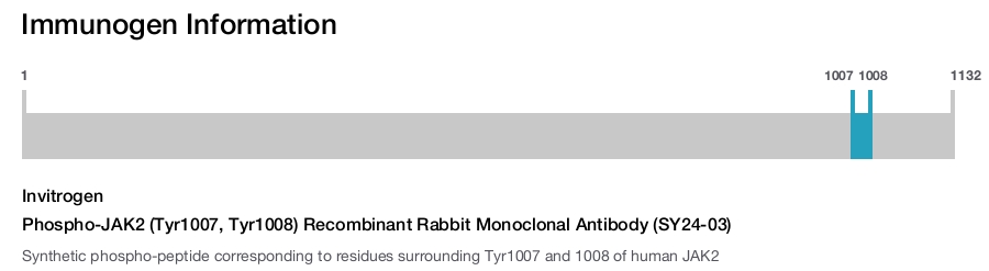 Phospho-JAK2 (Tyr1007, Tyr1008) Recombinant Rabbit Monoclonal Antibody (SY24-03)