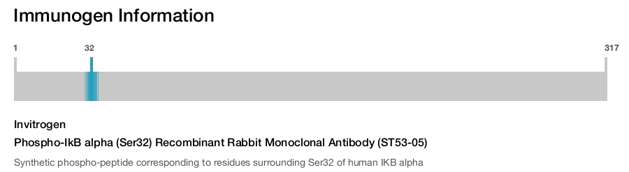 Phospho-IkB alpha (Ser32) Recombinant Rabbit Monoclonal Antibody (ST53-05)