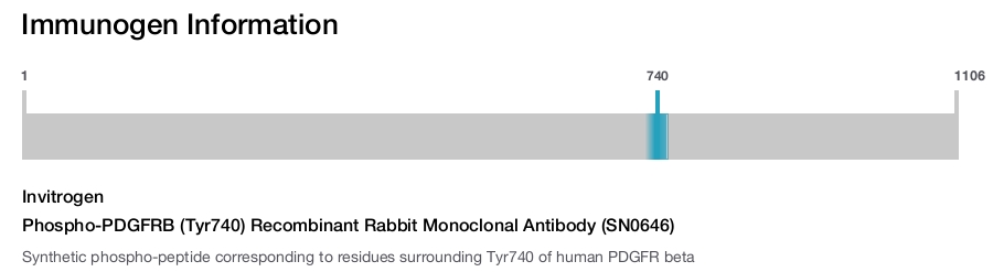 Phospho-PDGFRB (Tyr740) Recombinant Rabbit Monoclonal Antibody (SN0646)