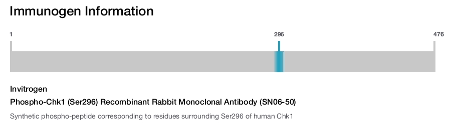 Phospho-Chk1 (Ser296) Recombinant Rabbit Monoclonal Antibody (SN06-50)