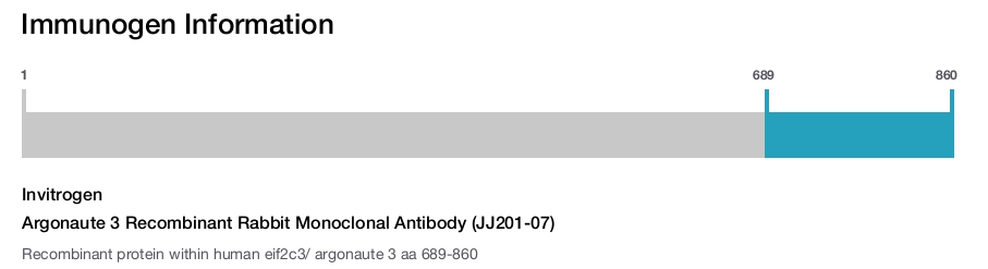 Argonaute 3 Recombinant Rabbit Monoclonal Antibody (JJ201-07)