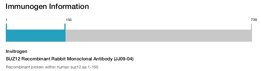 SUZ12 Recombinant Rabbit Monoclonal Antibody (JJ09-04)