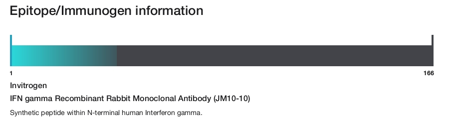 IFN gamma Recombinant Rabbit Monoclonal Antibody (JM10-10)