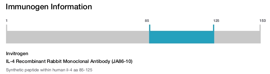 IL-4 Recombinant Rabbit Monoclonal Antibody (JA86-10)
