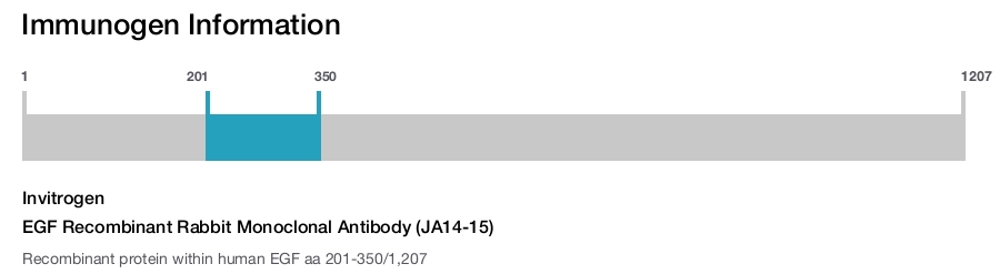EGF Recombinant Rabbit Monoclonal Antibody (JA14-15)