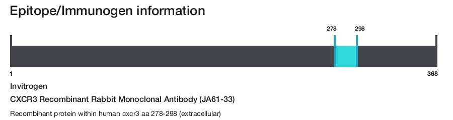 CXCR3 Recombinant Rabbit Monoclonal Antibody (JA61-33)